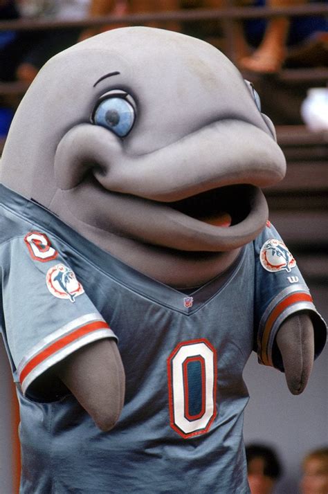 Exploring the Symbolism of the Miami Dolphins' Real Dolphin Mascot